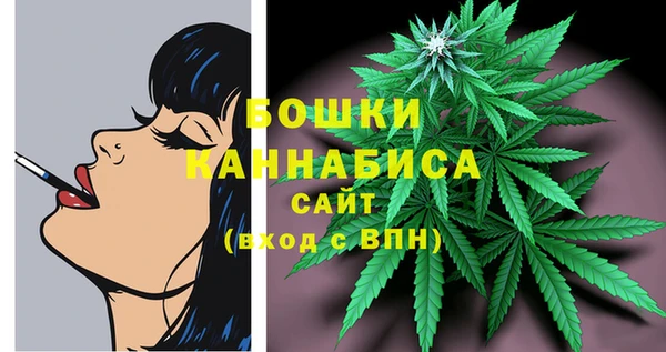 мдпв Богородск