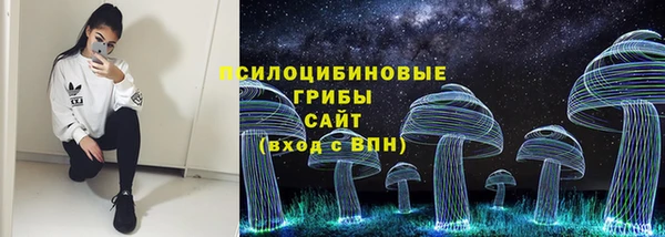 метамфетамин Богданович